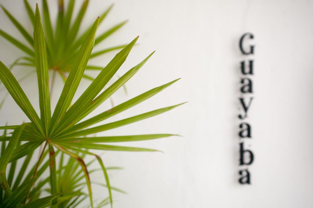 Latino Hotel Boutique Tulum Pueblo Buitenkant foto